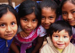 智能缓存管理的短信压测工具